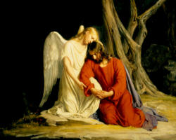 Image of It is often those times and circumstances that become the very path to holiness if we learn to love as He loves. Our Christian vocation is to live as He lives, to love as He loves and to thereby become 